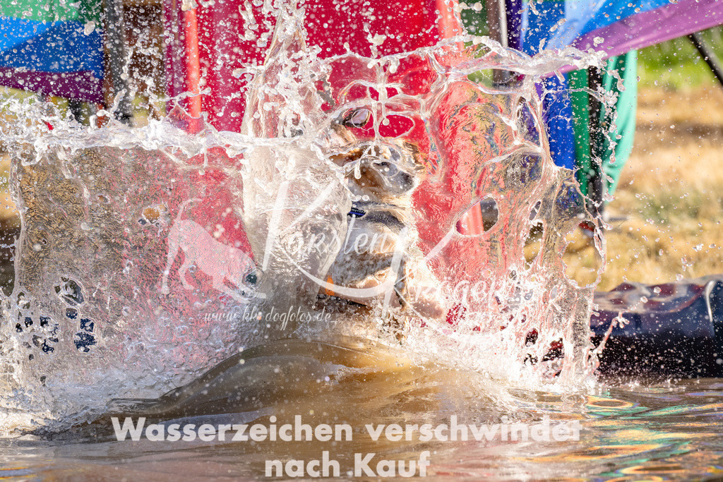 1737_ZZ91275 | kk-dogfotos