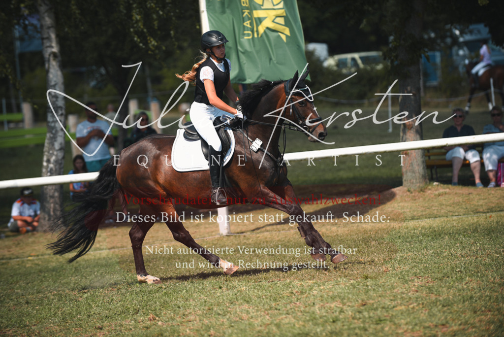 DSC_6967 | Pferde- und Turnierfotografie in Westsachsen. Pferdeportraits, Auftragszeichnungen und intuitive Kunst.