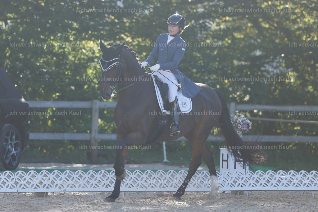 09_1-200-DRESSUR  S_  -StoibPH-5531 | working equitationturnier fotograf videograf stoibphotography marixx film working equitation deutschland reitsport turnierfotografie eventfotografie equestrian events
