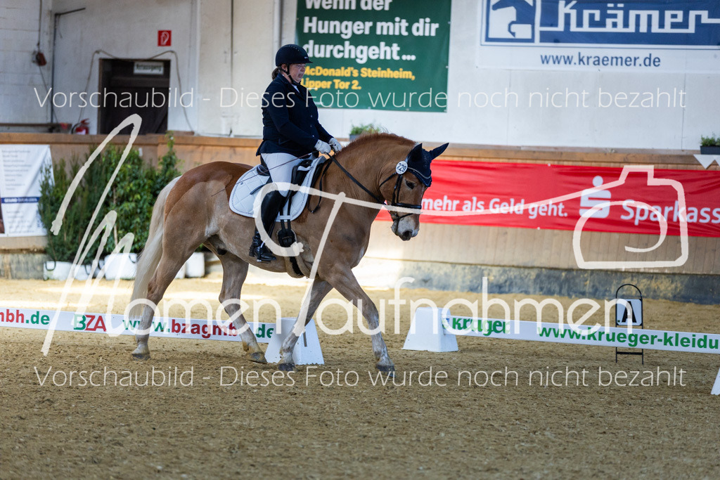 Sth-LPO25-DrR-L-135 | MomenTaufnahmen Pferdesportfotos