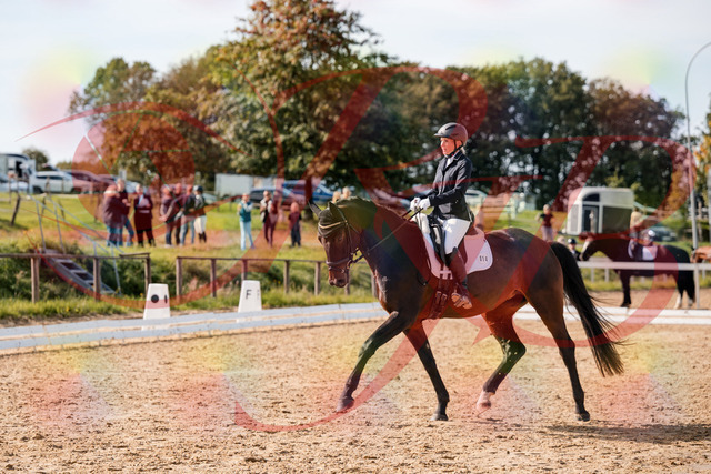 2026_10_03_Siefer-Hof_133621_Z63_96863902 | Professionelle Reitsport-, Turnier- und Eventfotografie von Robert Broda. Galerien mit ausgewählten und bearbeiteten Bildern direkt online ansehen und bestellen.