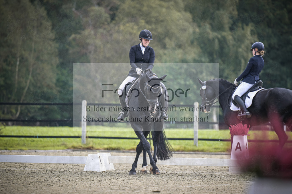 DOS_B560 | Entdecke hochwertige Reitturnierfotos von Foto Oger. Professionell, emotional und authentisch – jetzt Lieblingsmomente im Shop bestellen.Deutschlandweite Turnierfotografie. - Realisiert mit Pictrs.com