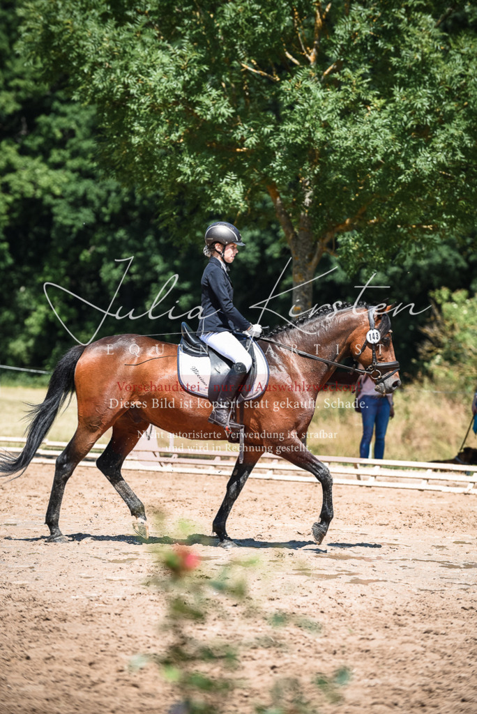 DSC_2864 | Pferde- und Turnierfotografie in Westsachsen. Pferdeportraits, Auftragszeichnungen und intuitive Kunst.