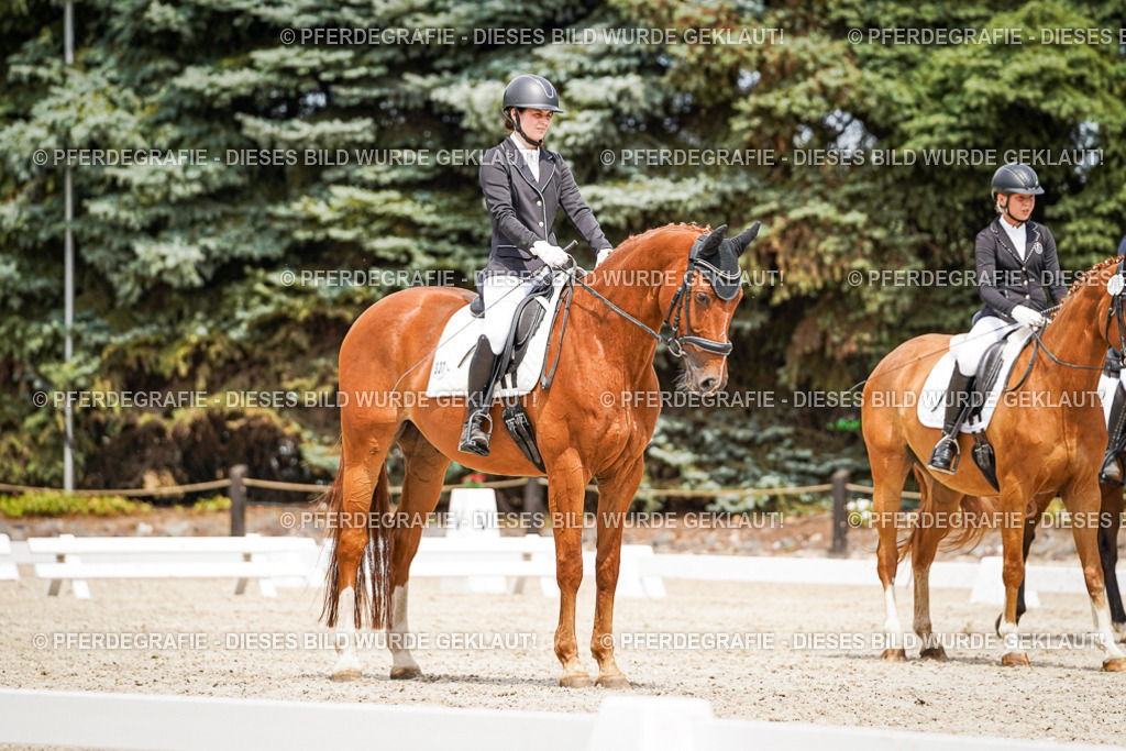 DSC03918 | Pferdegrafie