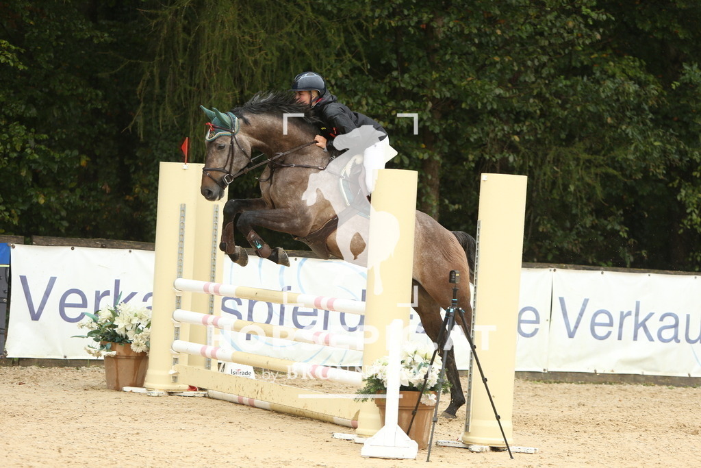 DL2Q1122 | Willkommen bei Brunnmayr - Design & Fotografie – Ihrem Spezialisten für Reitturniere und Pferdeveranstaltungen in Oberösterreich, Salzburg und Bayern! Seit über 17 Jahren sind wir leidenschaftlich dabei.