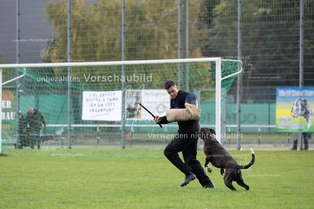_16A7107 | Einzigartige Fotos von Hunden & Menschen –Actionfotos, Portraits, Vereinsaufnahmen & Paarshootings – authentisch, lebendig & mit Herz.