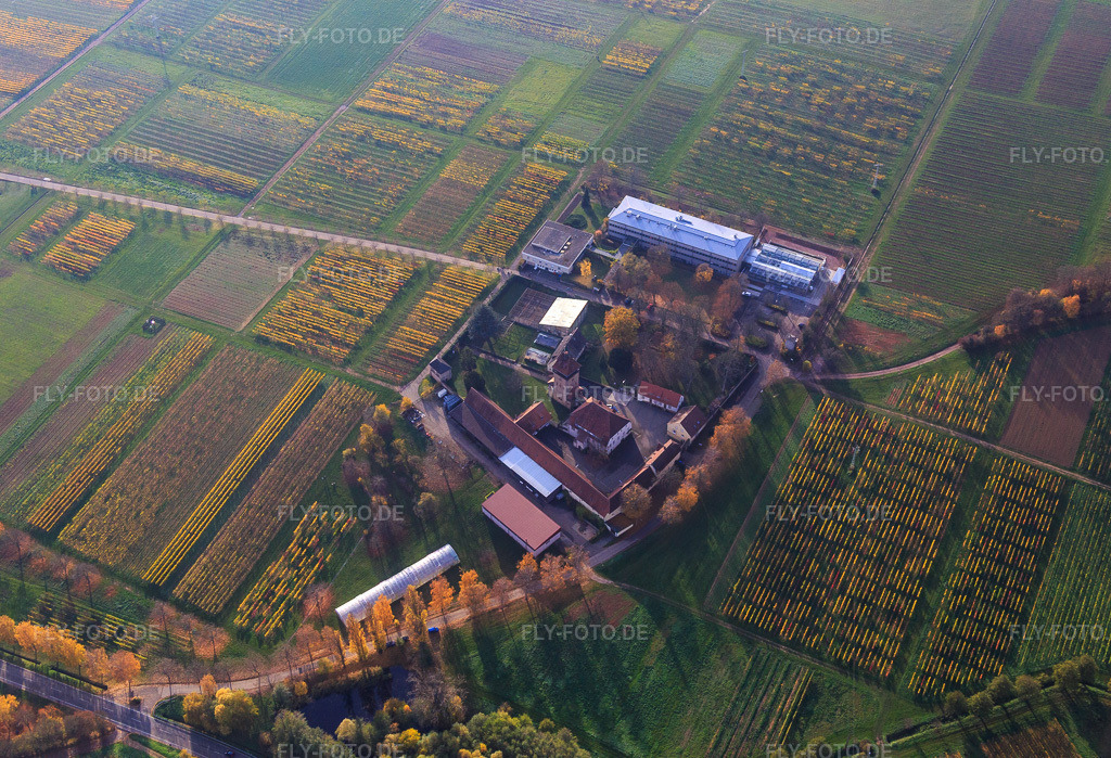 Luftbild: JKI Institut für Rebenzüchtung Geilweilerhof in Siebeldingen im Bundesland Rheinland-Pfalz in Deutschland. Foto: IMG_085116.jpg vom 08.11.2015 durch Werner Riehm/FLY-FOTO.deWeinverkauf