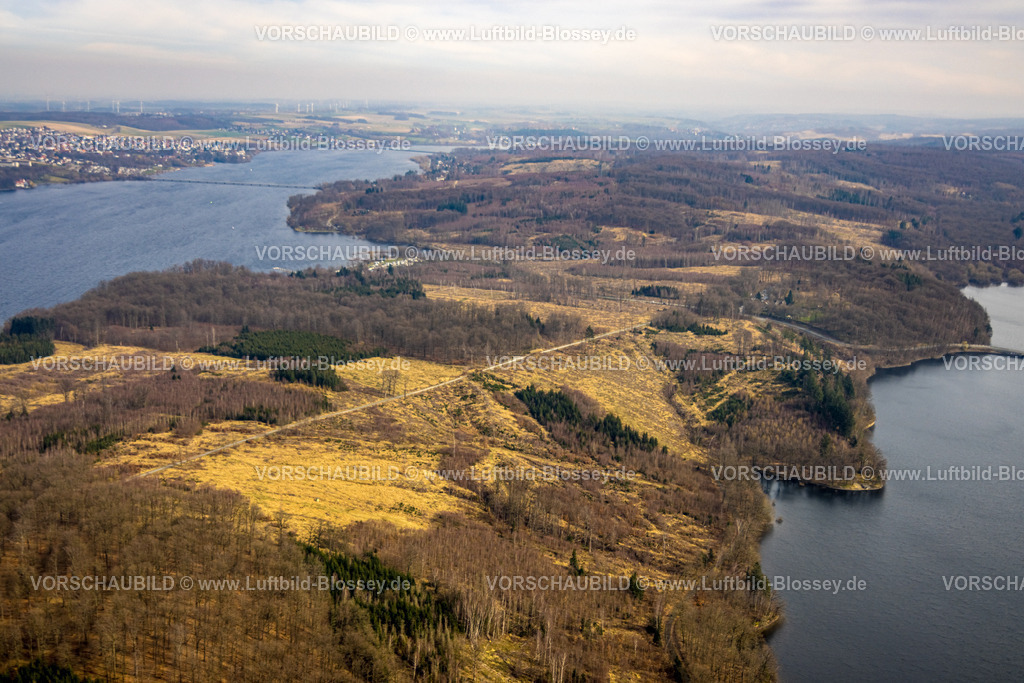 Moehnesee240307692Suedufer-Friedwald | Luftbild Blossey Luftbilder NRW Deutschland