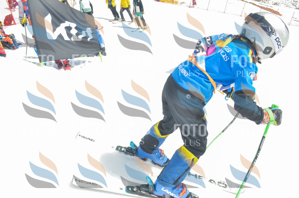 _ELE6996 | holidayphoto