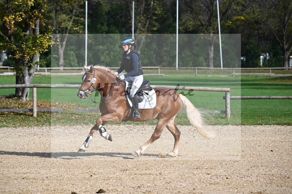 Kat-Nr. 10 Napoleon Bonaparte_Blum_44240663 | hf-fotografie - Realisiert mit Pictrs.com