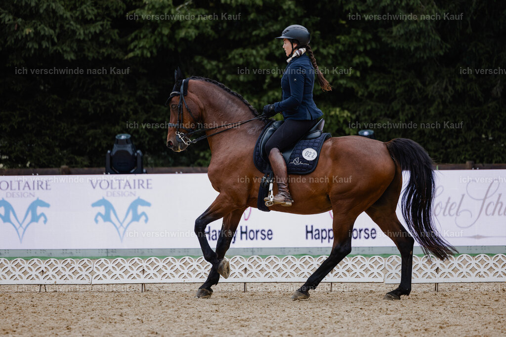 Nadine22_FHC2025-15 | working equitationturnier fotograf videograf stoibphotography marixx film working equitation deutschland reitsport turnierfotografie eventfotografie equestrian events