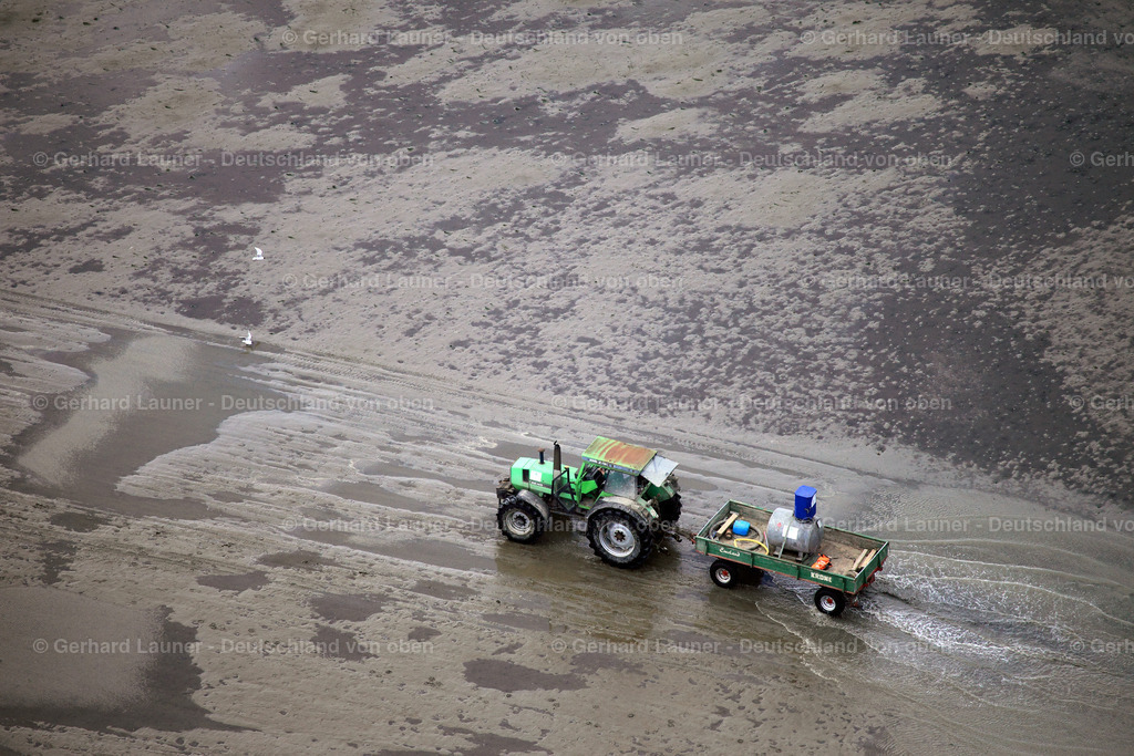 Traktor im Hamburgischen Wattenmeer | Traktor im Hamburgischen Wattenmeer