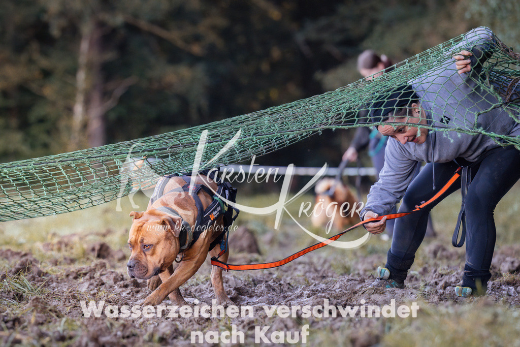 1012_ZZ90663 | kk-dogfotos
