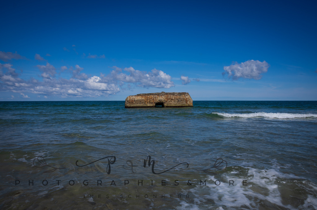 _Sommer2022-0576 | Photographies and more - Realisiert mit Pictrs.com