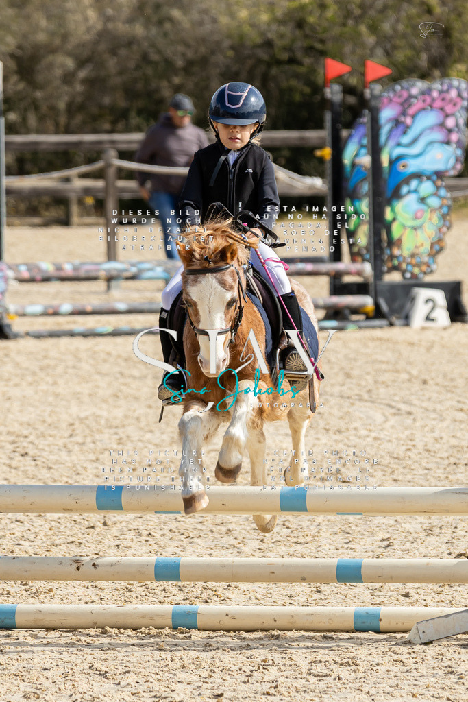 IMG_4290 | s-jay-photography - Realisiert mit Pictrs.com