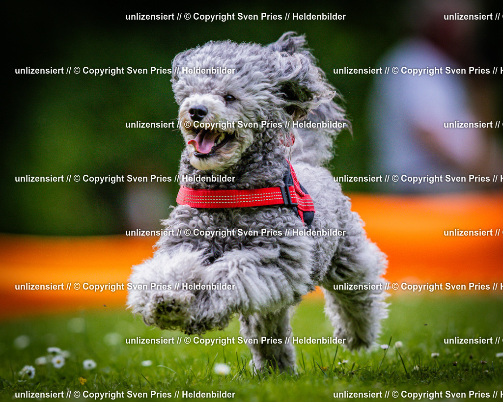 Sven Pries | 2025-05-29 - Pudelrennen KA-Durlach - Realisiert mit Pictrs.com