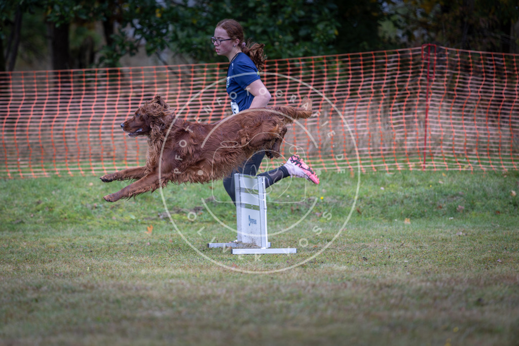 Pfotenfotografie_DV3A0450 | Hundefotografie, Tierfotograf, Pfotenfotografie, Fotoshooting Hund, Hunde Portrait, Hundesport, Hundeportraits, Heideshooting, Hunde, Sportfotograf, Hundefotograf, Turnierhundsport, THS,  - Realisiert mit Pictrs.com