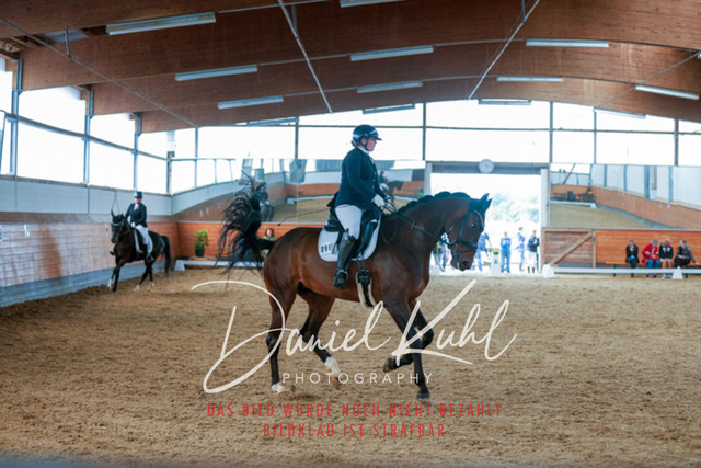 _62_6100 | Turniersportfotografie; Pferdefotografie; Dressurfotografie