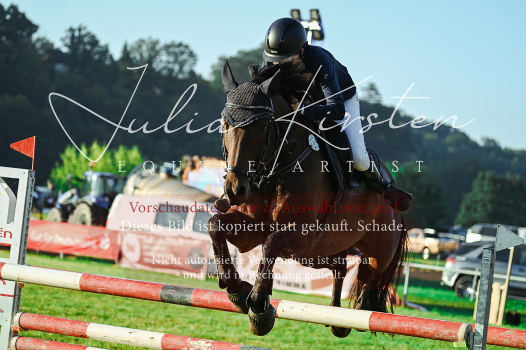 DSC_3987 | Pferde- und Turnierfotografie in Westsachsen. Pferdeportraits, Auftragszeichnungen und intuitive Kunst.