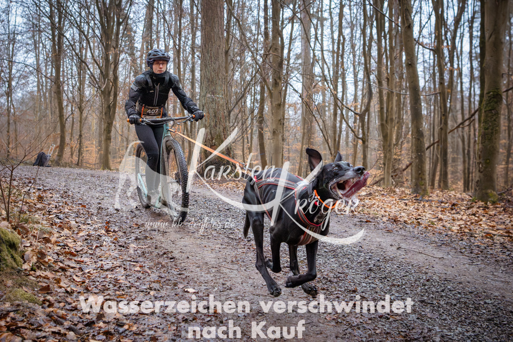0843_ZZ94753 | kk-dogfotos