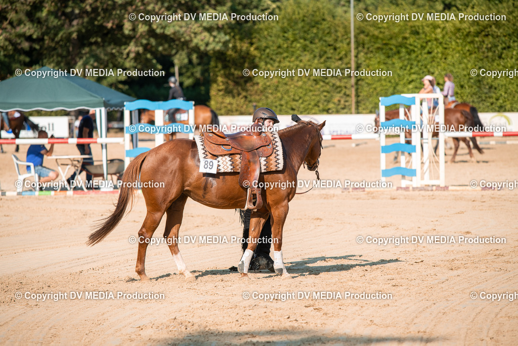 ZS2_8852 | dv-media-shop - Realisiert mit Pictrs.com