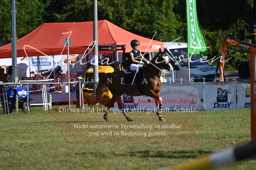 DSC_4951 | Pferde- und Turnierfotografie in Westsachsen. Pferdeportraits, Auftragszeichnungen und intuitive Kunst.