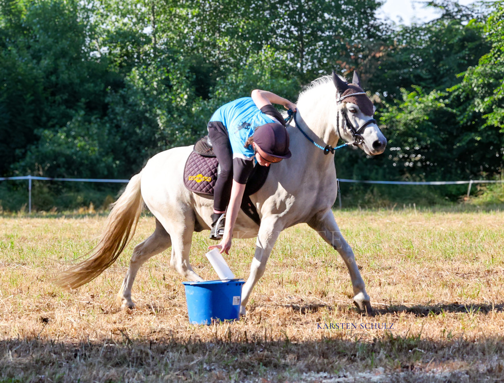 1B3A8559 | Reitsport Reiten