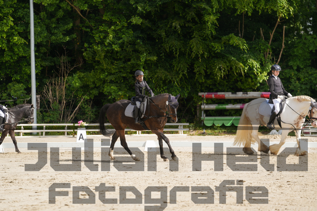 DSC03112 | Julian Held Fotografie - Realisiert mit Pictrs.com