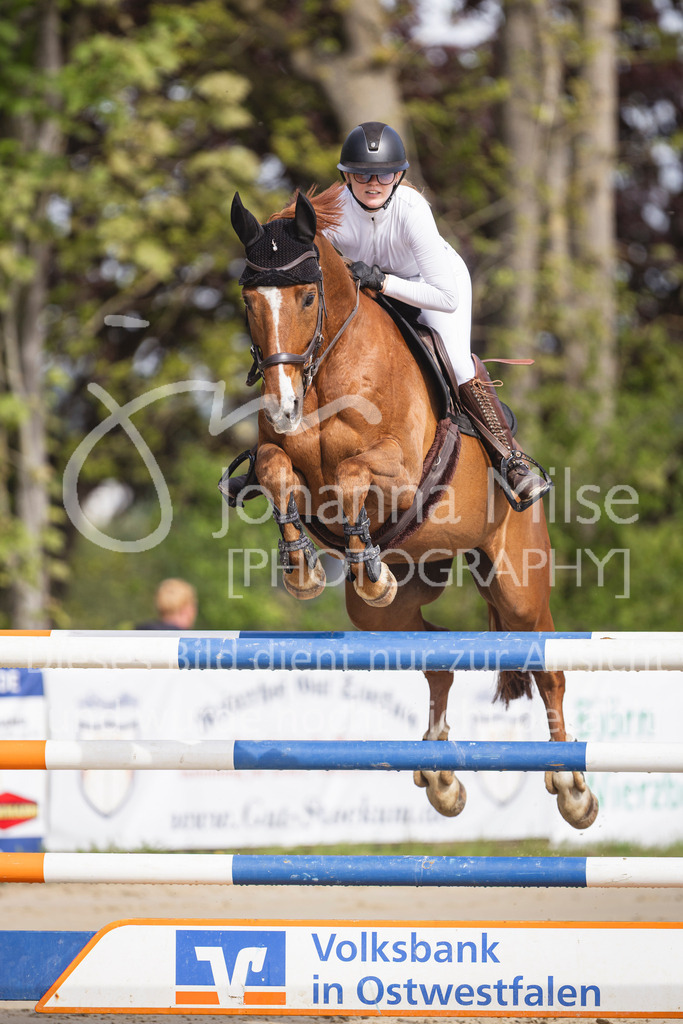 260503_Spenge_7_M2-Spr-m-steig-Anf-720 | Deine schönsten Turniermomente als professionelle Fotos! Entdecke hochwertige Pferdesport-Fotografie im Online-Shop. Jetzt Fotos finden & bestellen!
