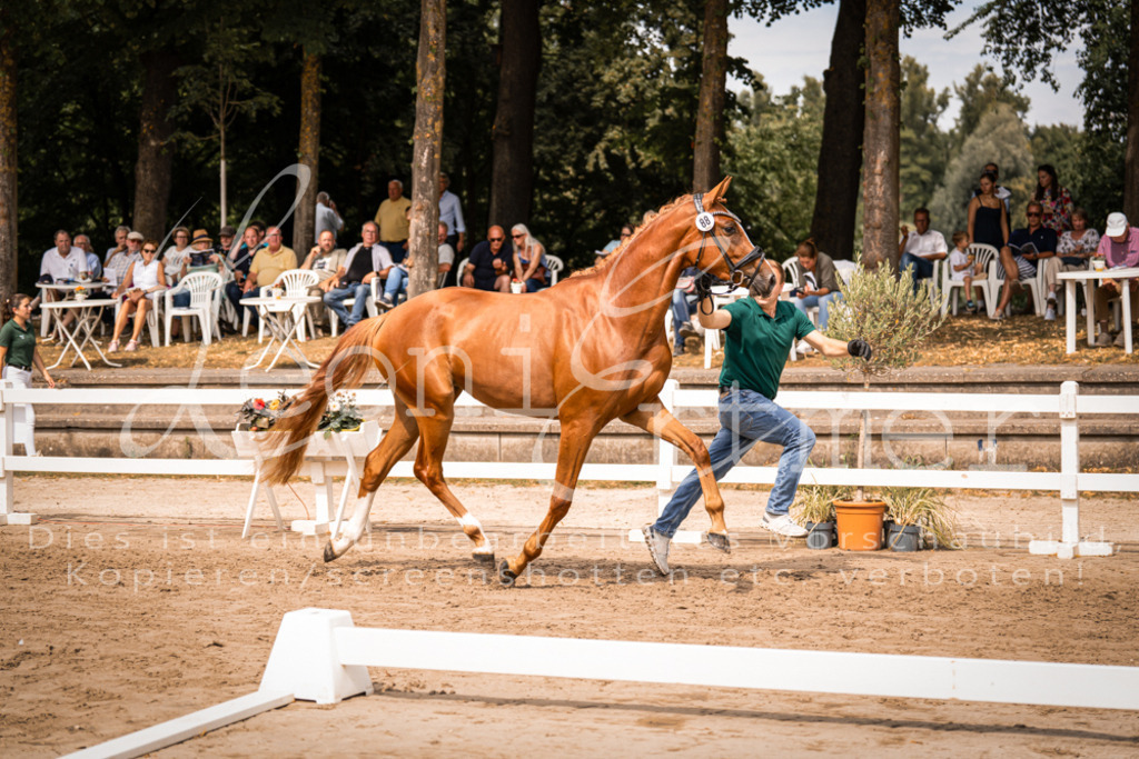 5.Fr00102 | Leoni Ertmer Photography - Realisiert mit Pictrs.com