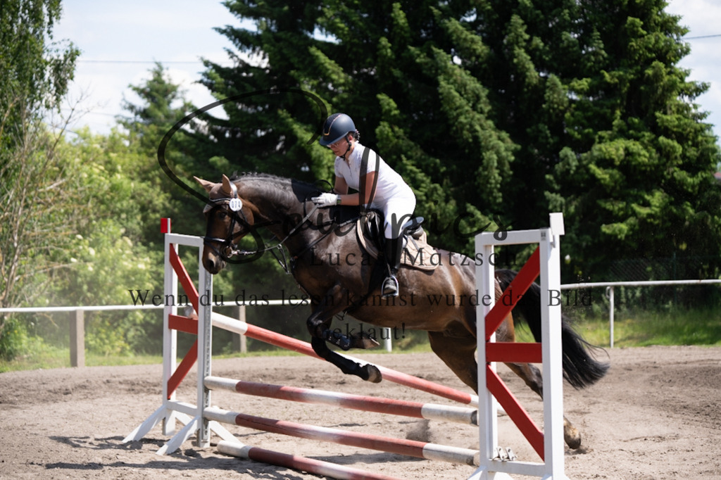 A7V03134 | Pferdefotograf