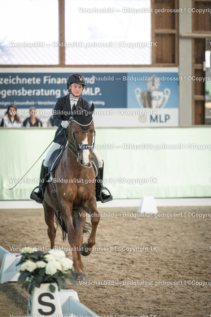 _D5A3123 | Emotionale Pferde- & People-Fotografie rund um Heidelberg, Leimen & Umgebung. Natürliche Fotos von Pferd, Mensch & Familie. Jetzt Termin sichern!