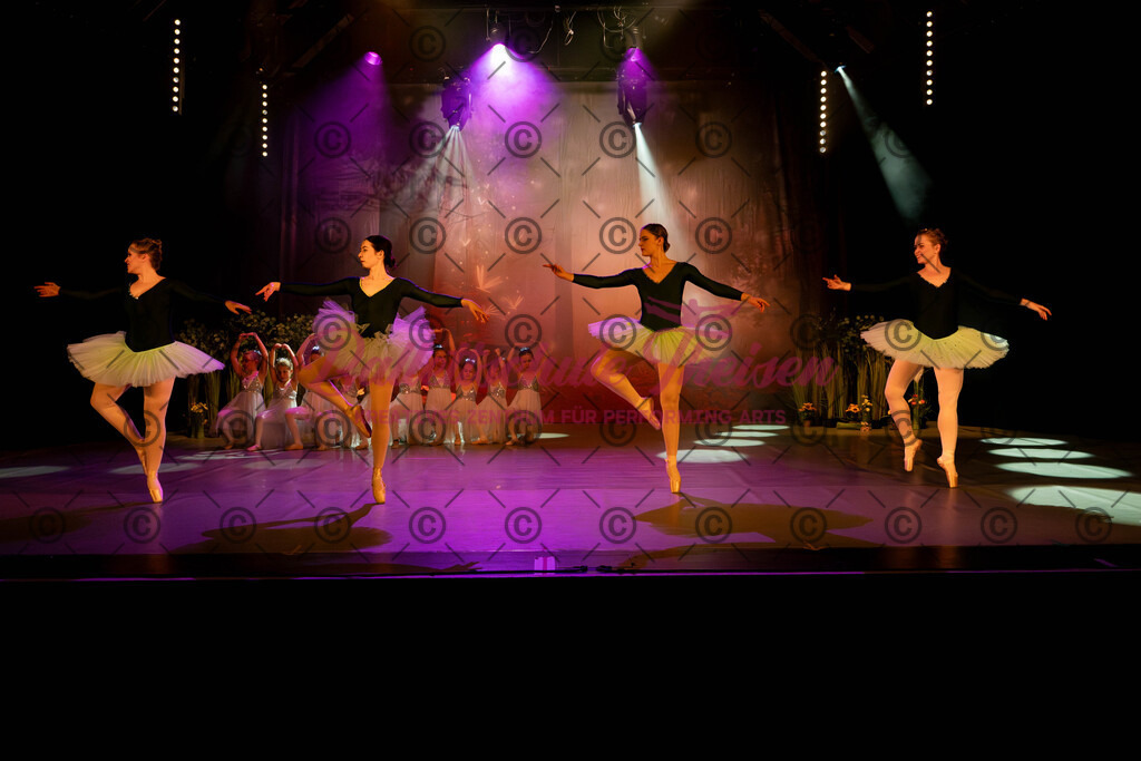 Ballettaufführung-596 | Bildershop Lem'n Entertainment - Realisiert mit Pictrs.com