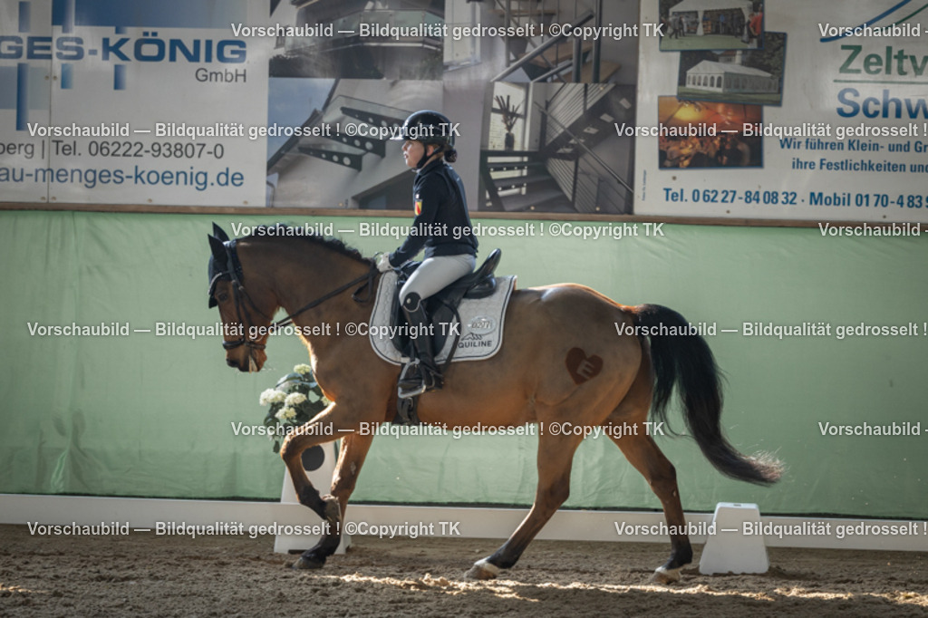 _D5A8569 | Emotionale Pferde- & People-Fotografie rund um Heidelberg, Leimen & Umgebung. Natürliche Fotos von Pferd, Mensch & Familie. Jetzt Termin sichern!