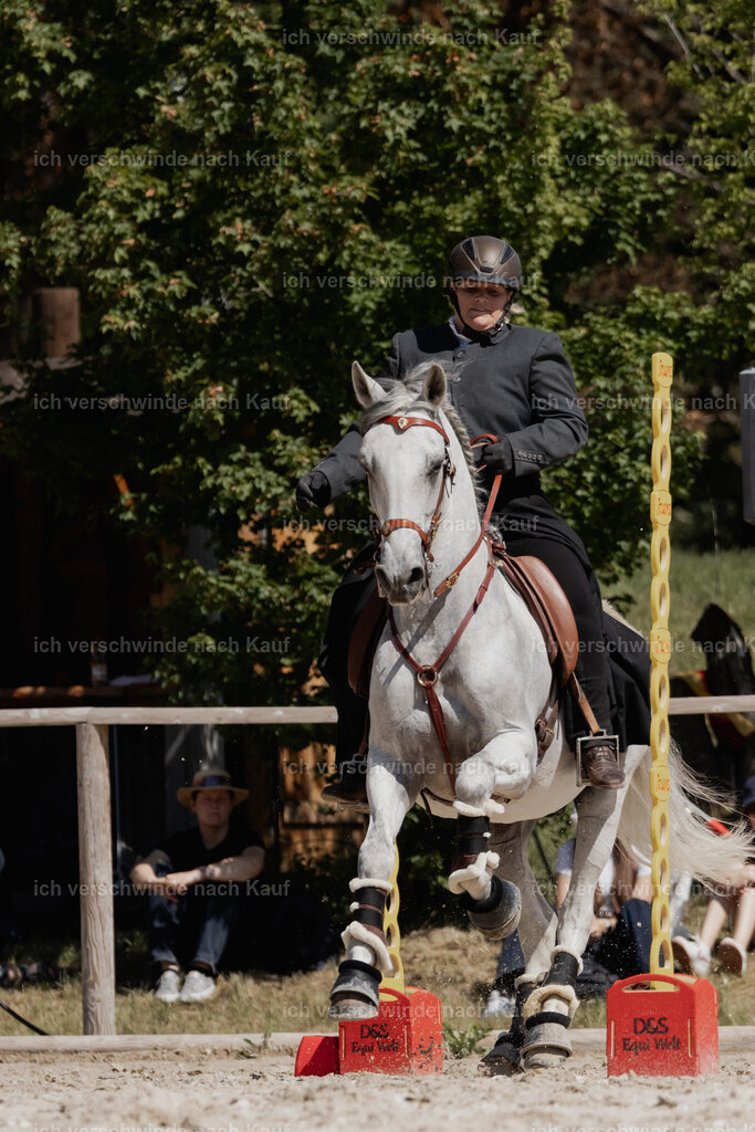 WE_SP_Stoib_321_PI2025_1593 | Pferd International München 2025