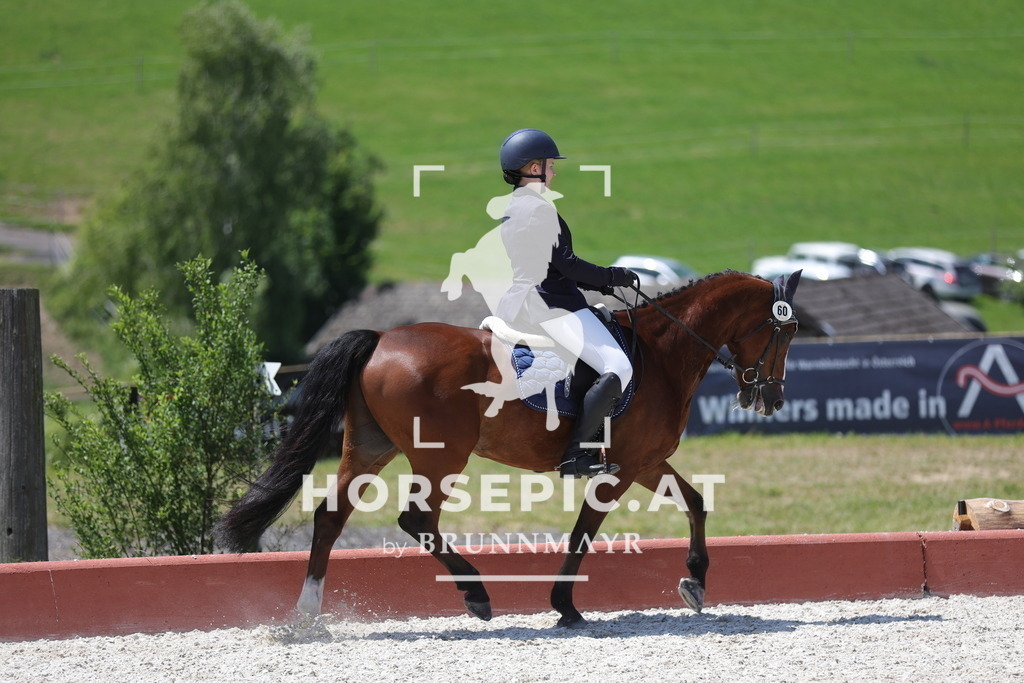 0P6A6345 | Willkommen bei Brunnmayr - Design & Fotografie – Ihrem Spezialisten für Reitturniere und Pferdeveranstaltungen in Oberösterreich, Salzburg und Bayern! Seit über 17 Jahren sind wir leidenschaftlich dabei.