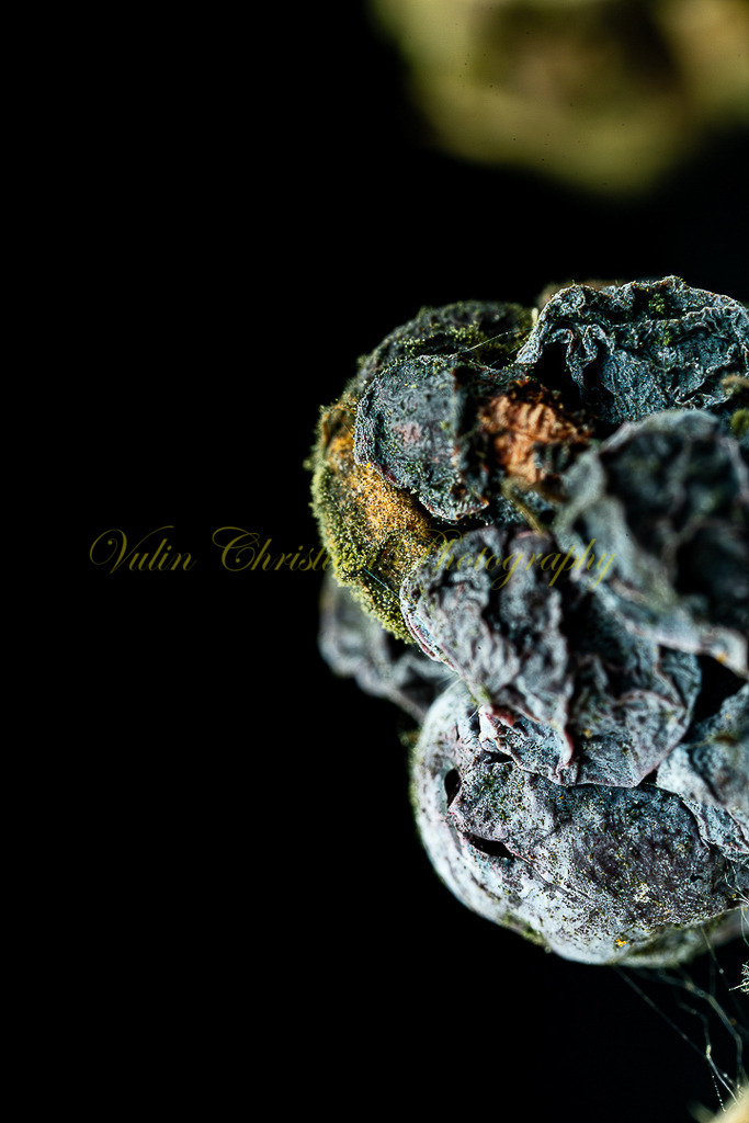 P 119 | Christian Vulin  - Realisiert mit Pictrs.com