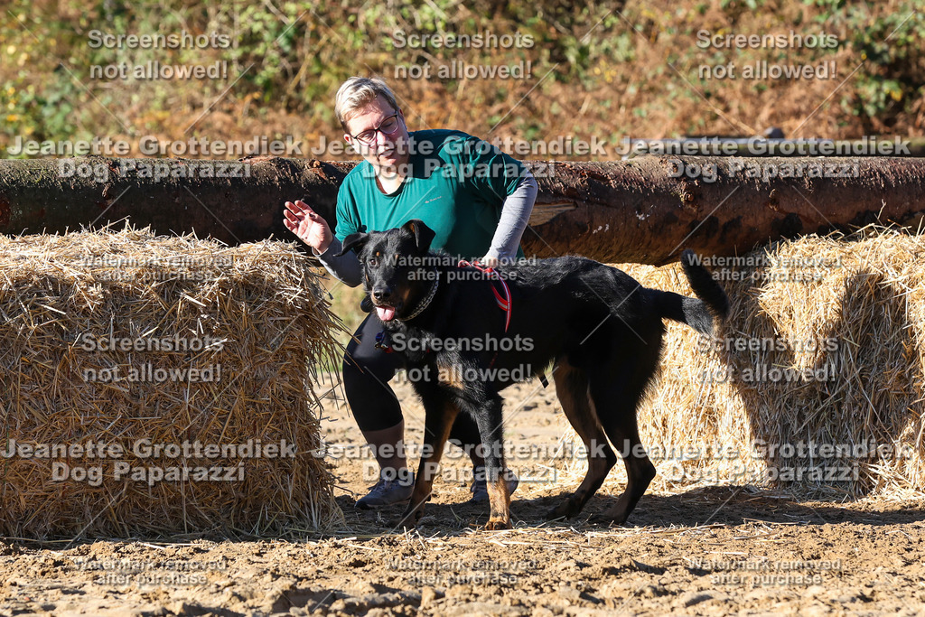 Dog Paparazzi - Strongdog 10-25-1688 | Dog Paparazzi Jeanette Grottendiek Fotografie & Videografie - Realisiert mit Pictrs.com