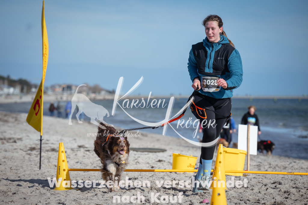 1329_ZZ91635 | kk-dogfotos