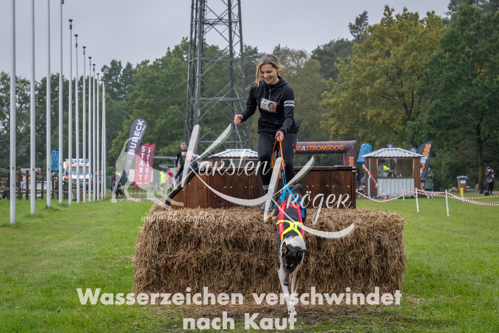 1323-93532 | kk-dogfotos