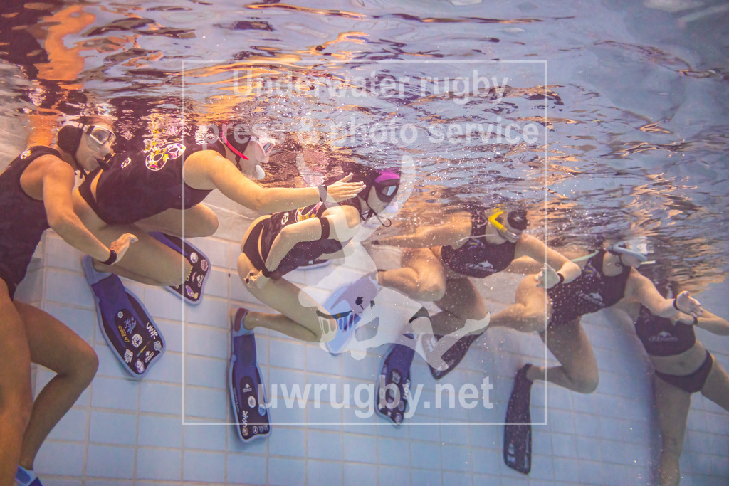 24. - 26.11.2023: Unterwasser-Rugby Champions Cup 2023  | Die Damenmannschaft des kolumbianischen Meisters Orcas beim Anschwimmen zum Spielstart. Mit einer Hand und einer Flosse berühren Sie den Beckenrand um nach dem Hupsignal des Spielleiters sich mit voller Kraft vom Beckrand abstoßen, um zum in der Mitte auf dem Beckeboden liegen Spielball, zu gelangen. - Realisiert mit Pictrs.com