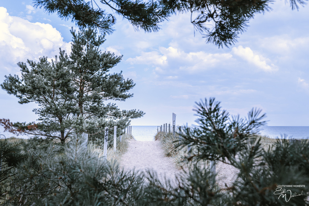 20210727 162911 RUEGEN _216-1_1 | Herzlich willkommen auf meiner Seite! Ich bin Elke Wallnisch, Deine Fotografin für lichtstarke Momente. Der Name steht für alles, was mich mit der Fotografie verbindet: Das Licht und seine machtvolle Wirkung auf eine Situation oder unsere Stimmung - Realisiert mit Pictrs.com