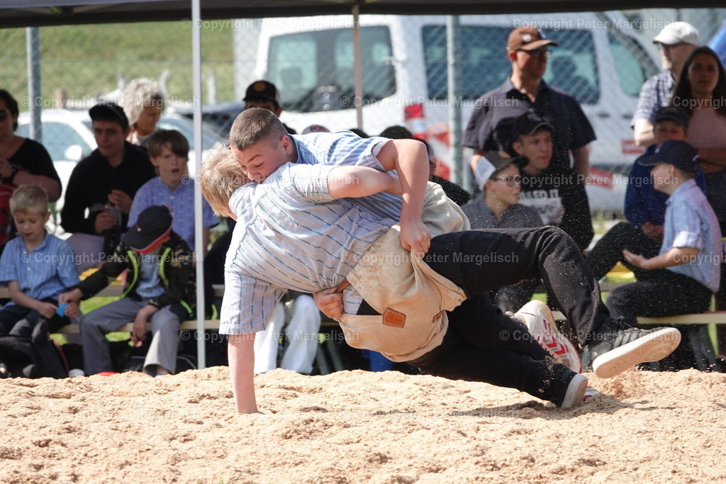 DSC04347 | Schwingen - Realisiert mit Pictrs.com