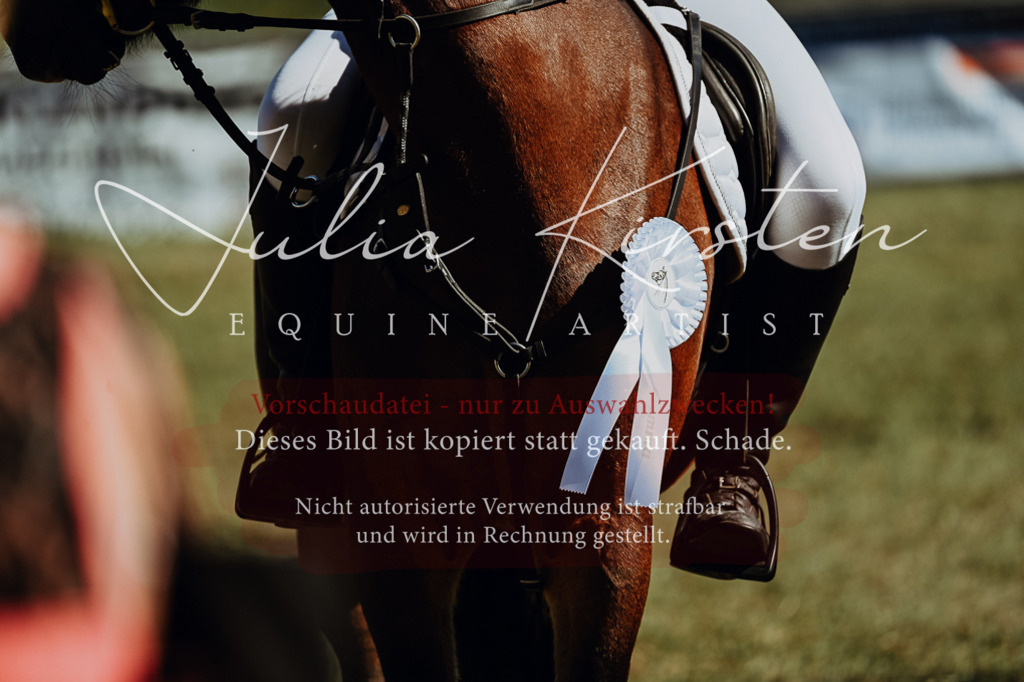 DSC_6983 | Pferde- und Turnierfotografie in Westsachsen. Pferdeportraits, Auftragszeichnungen und intuitive Kunst.