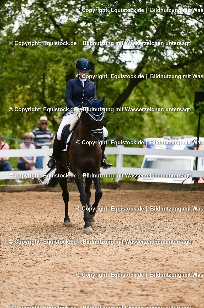 20230716_03_Dressurprfg. Kl.L - Tr._0627 | equistock