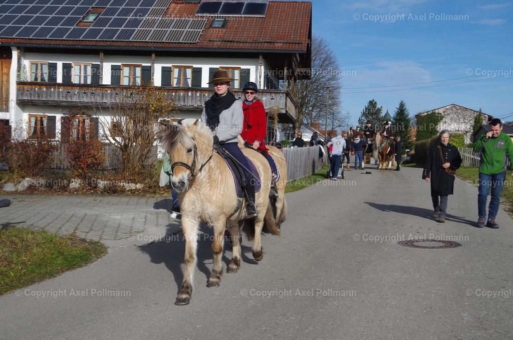 IMGP1589 | fotografiert von Axel PollmannLeonhardi Wallfahrt Benediktbeuern und Murnau, Fronleichnam, Fasching, Landschaft im Loisachtal und Benediktbeuern  - Realisiert mit Pictrs.com