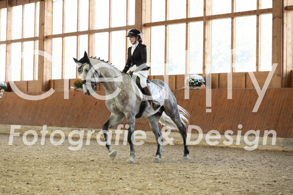 IMG_6183 | Creatify Fotografie