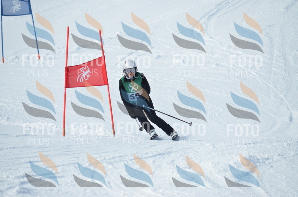 D8822 | holidayphoto