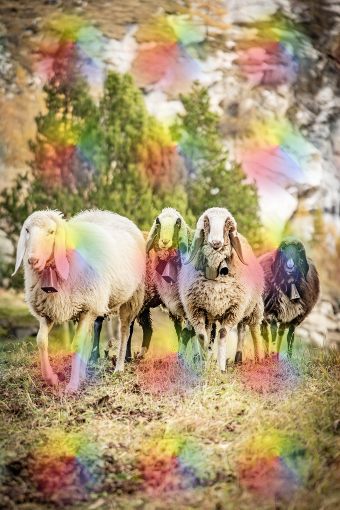 1M5A3814 | FineArtPrint, Hahnemühle, FeeGalerie, Fee Galerie, Fotokunst, Fotografie, Canonphotography, Bergfoto, Matterhorn, Rimpfischhorn, Allalinhorn, Saas-Fee, Wallis, Valais, Switzerland, Bergfotografie