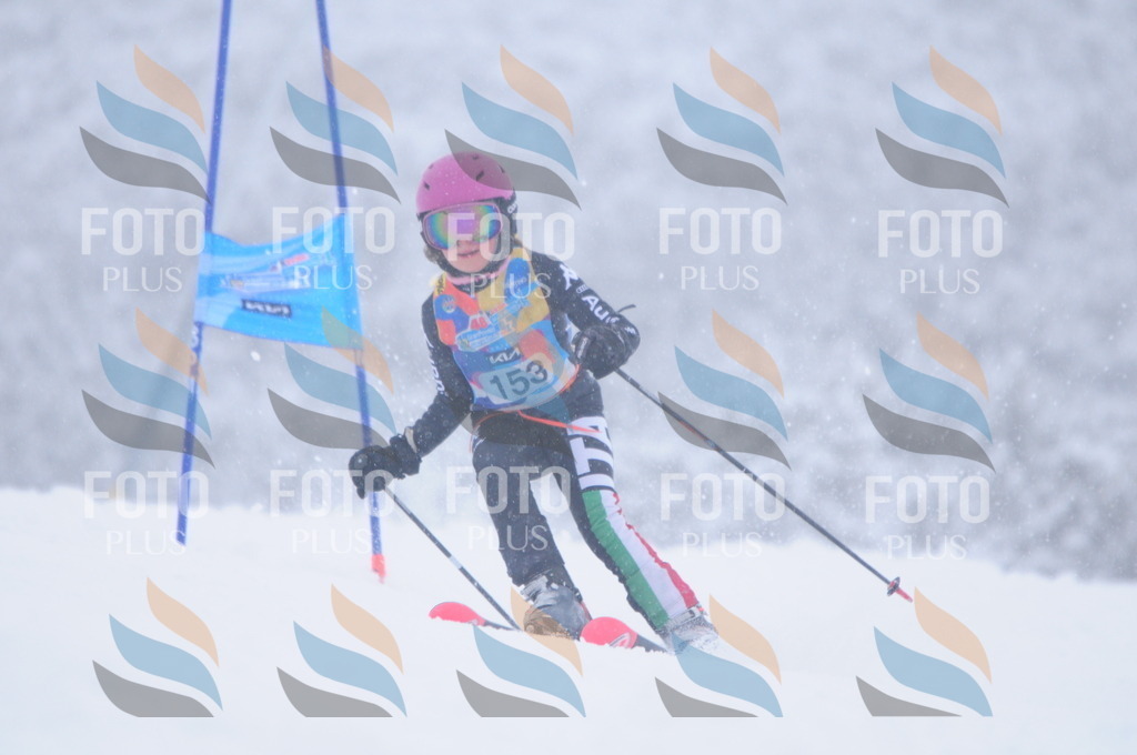 C1822 | holidayphoto